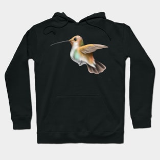 Cute Hummingbird Drawing Hoodie